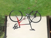 Men's road bike size large Red aluminium with carbon forks.